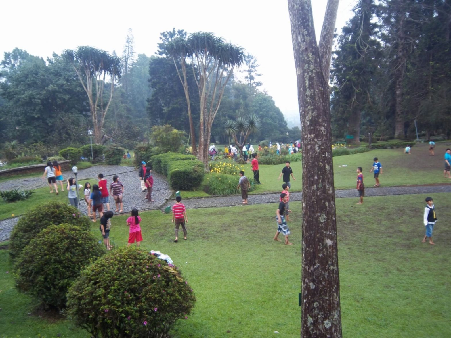Sehabis Hujan, Anak-anak Bermain di Kebun Raya Cibodas